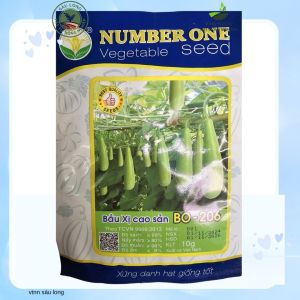hạt giống Bầu Xị BO 206 number one Siêu trái