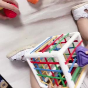 Baby Shape Sorting Toy Sorting Baby Toy with Elastic Bands Sensory Sorting Bin Fine Motor Skill Early Learning Preschool Educational Gift Ages 10 Months and Up