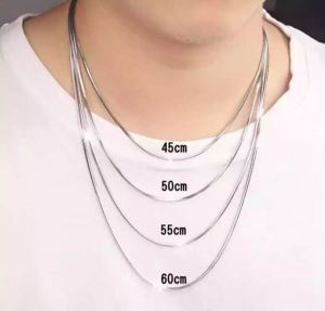 KALUNG TITANIUM ANTI KARAT / KALUNG KEREN / KALUNG PRIA WANITA ASLI /KALUNG PIPIH / KALUNG BULAT / KALUNG BELUT PRIA / KALUNG LIONTIN / KALUNG STAINLESS / KALUNG TERBARU 2022 (COD) - Starlaa.id