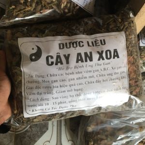 cây an xoa khô