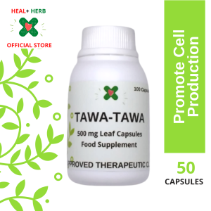 Pure Tawa Tawa Herbal Capsules 50 & 100 Capsules For Dengue Improve Platelet Count Organic and Natural