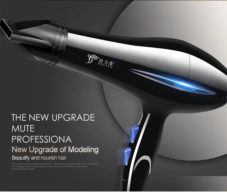 Blower Hair Salon High Power Quickly Negative Ion Hair Blower Hair