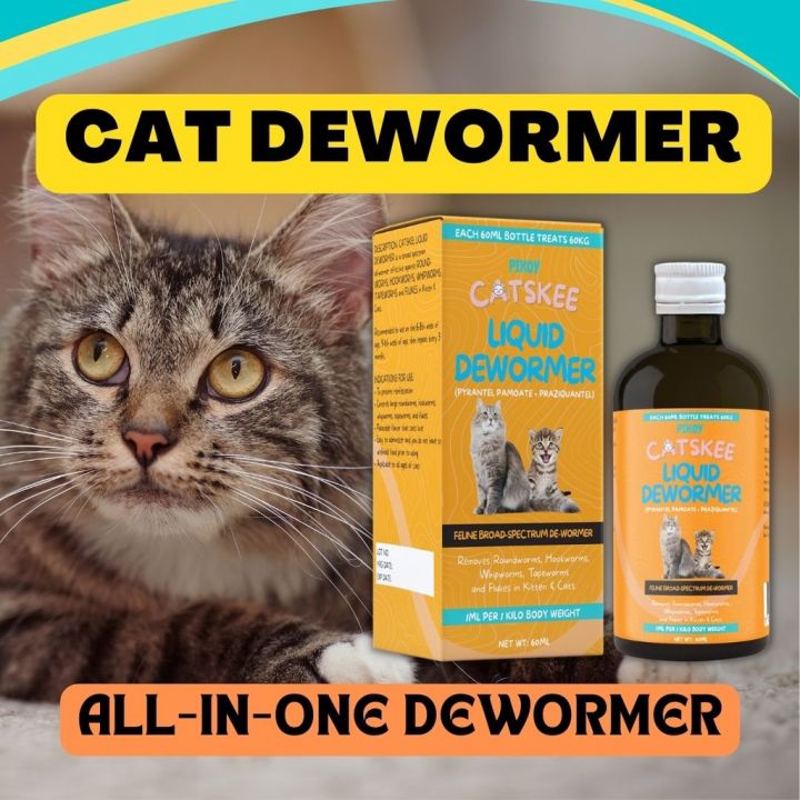 CAT DEWORMER SYRUP 60ML for Adults & Kittens by CATSKEE, PAMURGA All-In ...