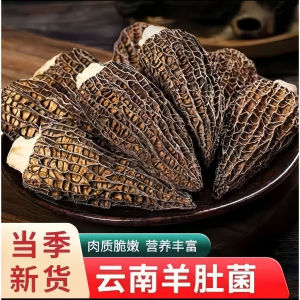头茬羊肚菌羊肚菇野生菌新鲜食用菌干货菌汤包食材云南特产Dried Morchella Mushroom