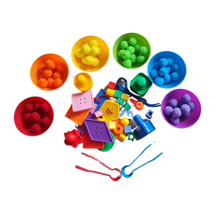 Montessori Sensory Play Set Colour Sorting Building Block Toys Lazada