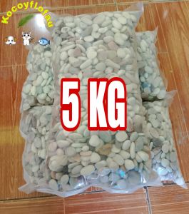 TERMURAH 1 karung batu hias pancawarna 10 kg dekorasi aquarium dan taman