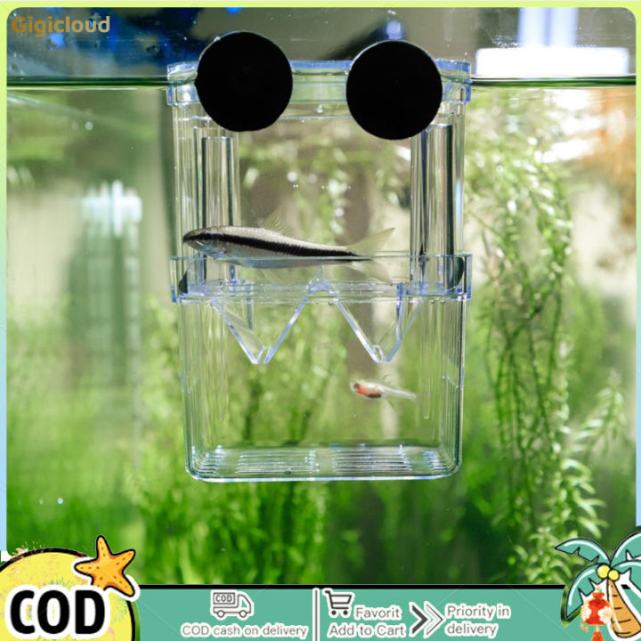 Double Layer Self Floating Incubator with Suction Cup Aquarium Hatching ...