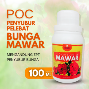 Pupuk Pelebat Bunga Mawar Organik Penyubur Penumbuh Tanaman Bunga Mawar Bisa Untuk Bunga Dalam Pot