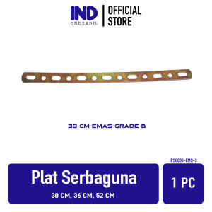 Plat Serbaguna 30 36 52 Cm Silver Emas Chrome Bracket Besi Breket Serba Guna Universal Variasi Lampu Dll Panjang