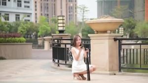 100% ORIGINAL[READY STOCK] Portable 210cm Tripod for Phone Adjustable Floor Stand Live Camera Selfie Holder 2.1m + Remote Shutter