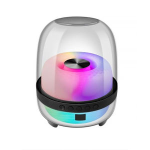 Portable Brodu 10W Bluetooth Speaker with RGB Lights 3-Inch Driver 3-Hour Playtime BTS-1843 Sound System