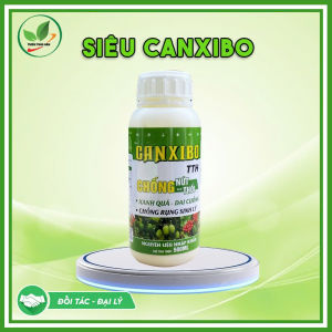 Siêu CanXiBo chông nứt thối. Chai 500ml