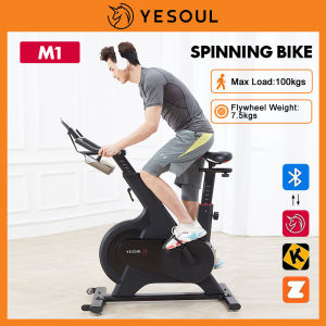Xiaomi Yesoul Smart Exercise Bike M1 Spinning Bike Magnetic System Indoor Exercise Fitness Bike  [ Magnetic Resistance Belt Drive Low Noise Compact Size Indoor Household Fitness Cardio Equipment ]