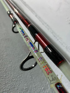 คันตัน Ashino Miami ไมอามี่ เหนียวๆ