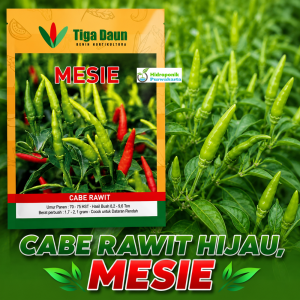 Benih Cabe Cabai Rawit Mesie Isi 10 Gram Cap Tiga Daun Tipe Tegak Super Pedas