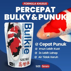 Pakan Khusus Pembesaran Punuk Ikan Koi Bulkie Shori Makanan Koi Import Vietnam Pelet 5mm