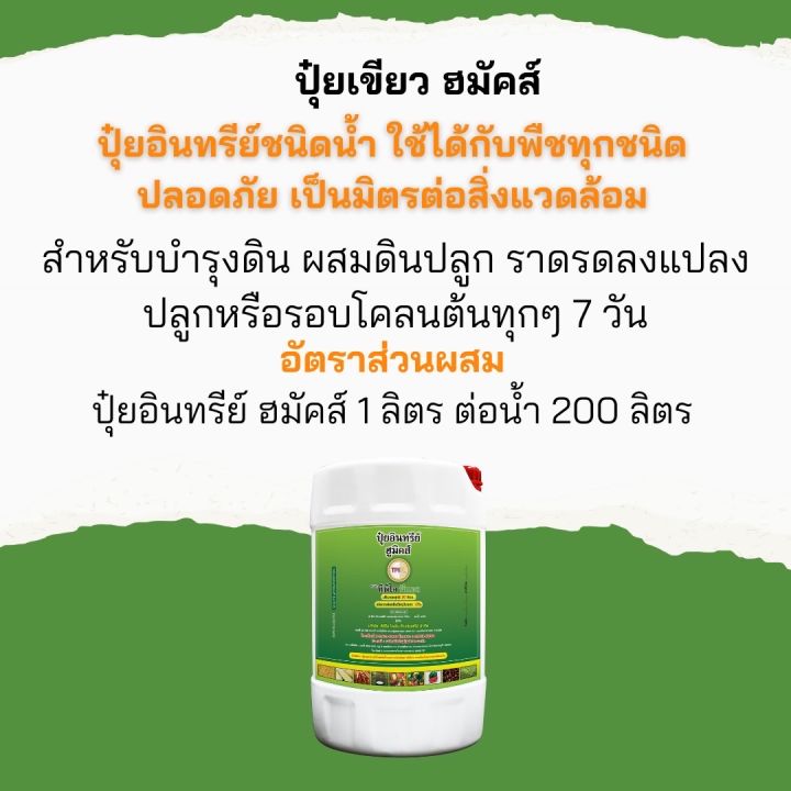 เขียน python gui ด้วย tkinter ep1 -... ปุ๋ยเขียว ปุ๋ยอินทรีย์ ปุ๋ยทีพีไอ ปุ๋ยน้ำ ฮูมิคส์ ขนาด 20 ลิตร ...
