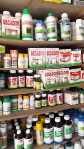 [SALE 65%] ROUNDUP HERBICIDE 4 LITERS - ROUND UP HERBICIDE 1 Gallon Grass Killer - BAYER