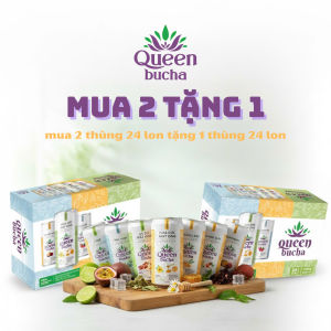 Siêu Ưu Đãi Mua 2 Tặng 1 - Thùng 24 Lon 250ml Kombucha mix 4 vị từ nhà Queenbucha