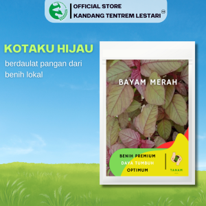 Benih Bayam Merah 15 gr TANAM SEED Unggul Nutrisi Tinggi Ribuan Biji