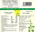 [2 box bundle] HUOXIANG ZHENGQI SOFT CAPSULES 神威牌 藿香正气软胶囊. 