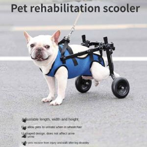 Adjustable Dog Wheelchair: A Comprehensive Guide