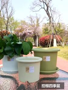 กระถางดอกไม้ Four Seasons สไตล์นอร์ดิกเรียบง่าย สร้างสรรค์ ขนาดแกลลอน แบบลึก Deepot กระถางดอกไม้พลาสติกขนาดใหญ่ส่วนตัวสำหรับระเบียง รูปหัวไชเท้าสีเขียว [ จัดส่งฟรี ]