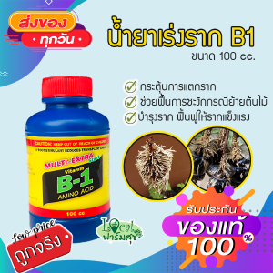 น้ำยาเร่งราก B-1 Multi Extra Start ยาเร่งราก บีวัน ช่วยในการแตกรากพืช กิ่งตอน ปักชำ ย้ายปลูกใหม่ ฟื้นตัวเร็ว 100cc homes
