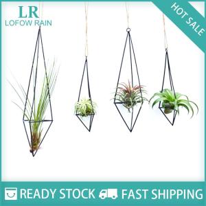 LF Wholesale✨Flash Sale ✨ Metal Geometric Hanging Air Plant Holder Rack Air Pineapple Iron Hanging Support