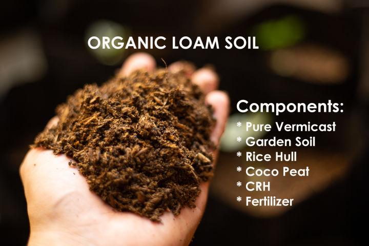 Pure Loam Garden Soil, 55% Off 