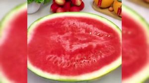 3 in 1 Watermelon Cutter Slicer Tool 2026 Upgraded Multi Fruit Slicers Fruit Cutting Tool Stainless Steel Watermelon Fork Cutter Slicer Tools Home Kitchen Gadgets (Beige)