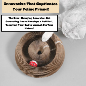 【SG Local】Cat Collapsible Scratcher Lounge Magic Organ Spinning Ball Toy Bell Scratch Cat Scratching Board Mainan Papan