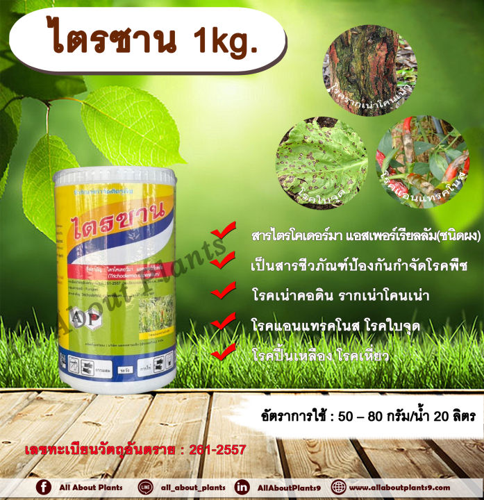 ไตรซาน ไตรโคเดอร์ม่า แอสเพอร์เรียลลัม กำจัดโรคพริก