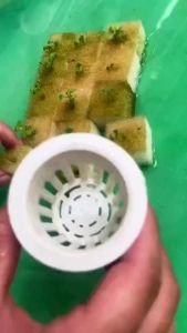 COMBO 10 RỌ TRỒNG RAU THỦY CANH Vuadienmay