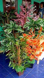 POHON MAPEL ARTIFICIAL TINGGI 80CM - BUNGA HIAS RUANGAN SUDAH TERMASUK POT 100% REAL PICK