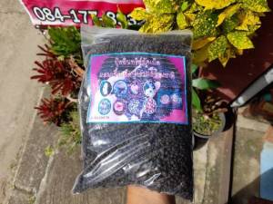 ปุ๋ยอินทรีย์อัดเม็ดผสมเชื้อเห็ดป่ารวมธรรมชาติอัดเม็ด บรรจุ 1 ก.ก.ประกอบด้วยเห็ดระโงกเห็ดไคเห็ดตับเต่าเห็ดน้ำหมากเห็ดถ่านเห็ดเผาะ