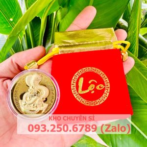 Full set 05 xu con Rắn + túi Lộc MẪU 1 - linh vật may mắn của năm 2025 quà tặng ý nghĩa phong thuỷ