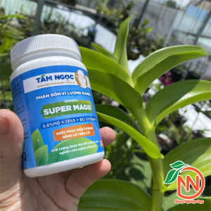 Phân Bón Cho Lan Phục Hồi Lá Vàng Thành Xanh - Super Magie Tám Ngọc 100g - Magie Sulfat