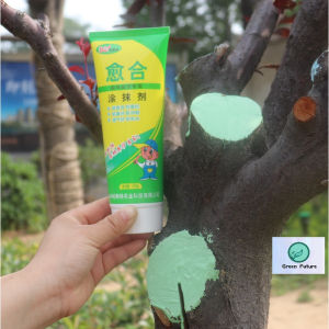 [READY STOCK] Tree Wound Healing Pruning bonsai paste Sealer & Grafting Compound Cream 植物药膏 盆栽药膏 盆栽伤口愈合剂 植物愈合剂