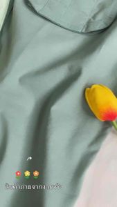 CAMEL#เสื้อคาเมล: แขนสั้น size 2XL อก 52 มาดฎหมายส่งจากไทย