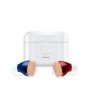 Mini Hearing Aid Rechargeable V30 Hearing Aid Sound Amplifier ITC Adjustable Volume Hearing Aid for the Deaf