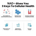 อาหารเสริมเพื่อสุขภาพ NAD+ Cell Regenerator™ Nicotinamide Riboside 300 mg 30 Capsules - Life Extension. 