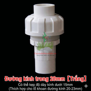 Đầu Nối Ren Trong Ngoài Rắc Co Pvc Cho Bể Cá (20–40mm)