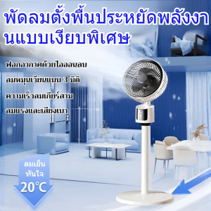 เครื่องหมุนเวียนอากาศเงียบเป็นพิเศษ พัดลมตั้งพื้นอินเทอร์เฟซ ยูเอสบี รีโมทคอนโทรลขนาดใหญ่ของครอบครัว