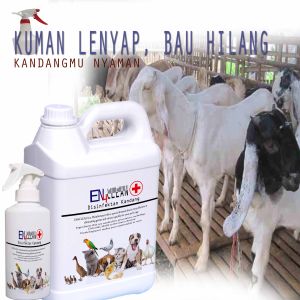 Spary penghilang bau kandang kambing 250ml sampai 5Liter epektif melenyapkan kum4n & V1rus mematikan tk-ft
