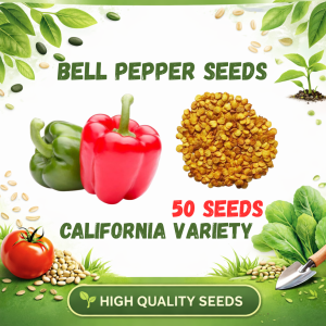 BELL PEPPER Seeds (California Wonder) 50-100pcs Seeds/High yielding /Easy to Grow