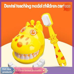 Graceful 4pcs Kids Pretend Play Toy Dentist Check Teeth Model Set Educational Learing Toy