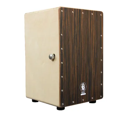 BLW Cajon - Adjustable Snare Cajon with Carrying Bag