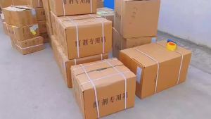 钦尚堂面瘫贬贴量大价优支持全面单稳定货源保证平台爆款