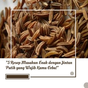 Jintan Putih india jintan cumin 100gr Kualitas Bagus / Cumin Seed Jintan putih dan biji jintan murah dan terjangkau Bumbu Masak / Bumbu Dapur / Rempah Biji jintan jintan putih untuk memasak dan memanggang